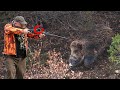 Domuz Avı Azılı Soluk Soluğa Wildboar Hunting Sanglier