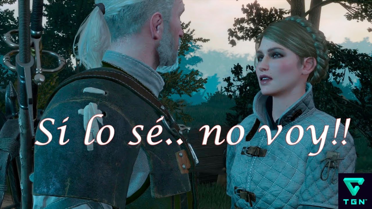 The Witcher 3 Clases De Esgrima