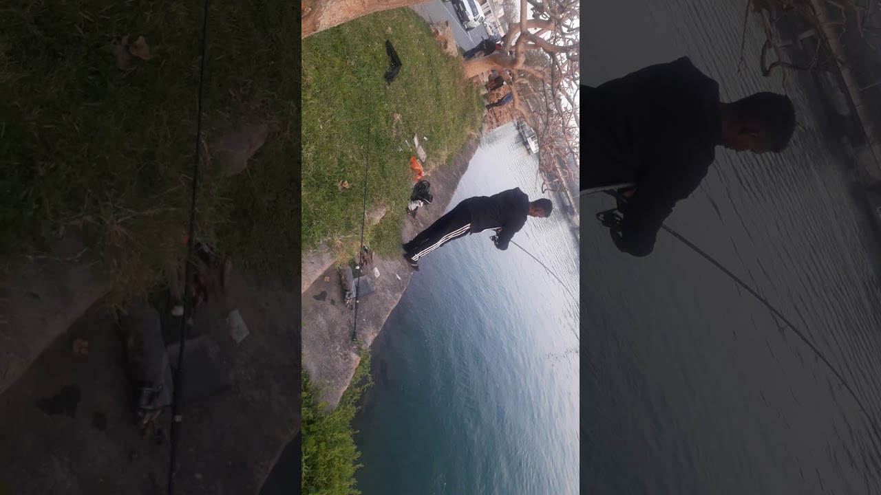 Port alfred entertainment