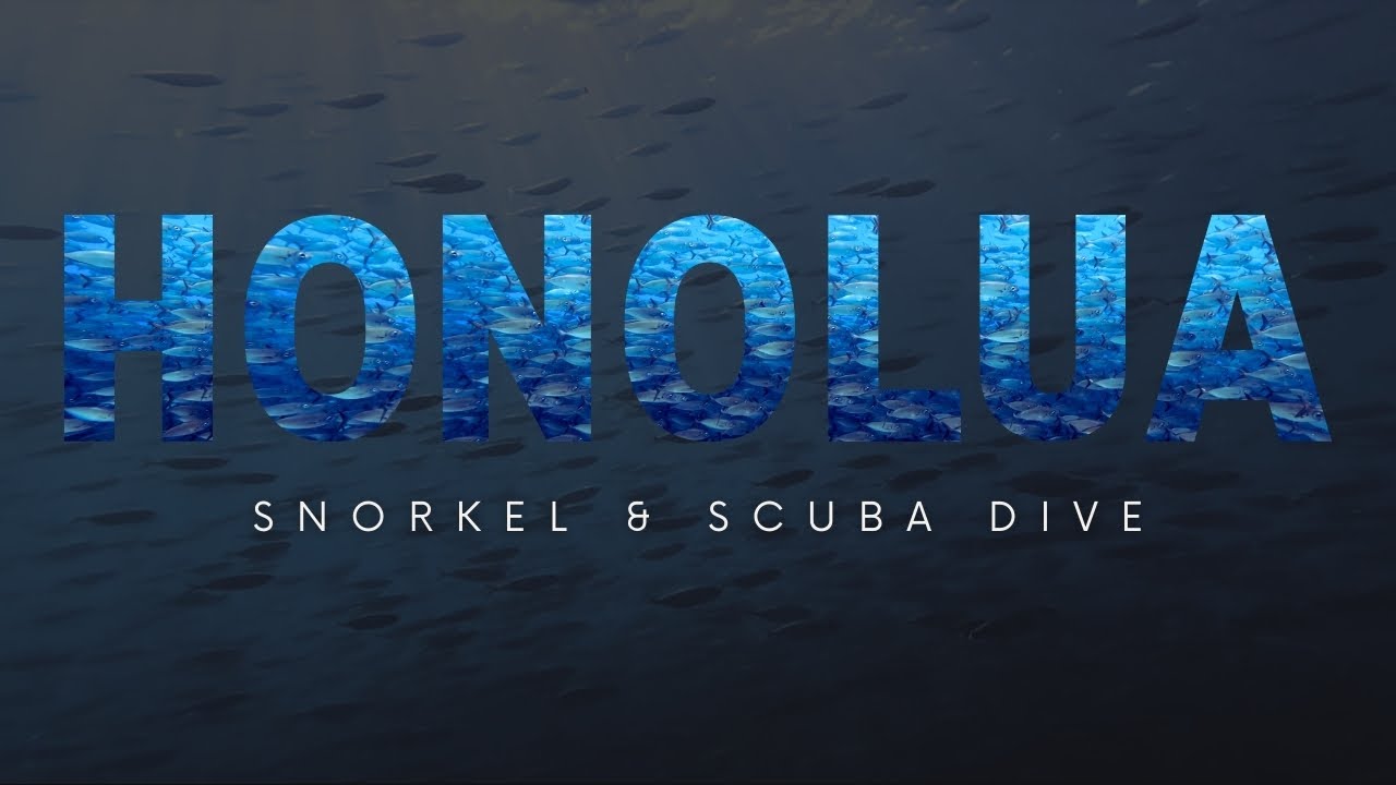 Snorkel & Scuba Dive at Honolua Bay | Maui, Hawaii