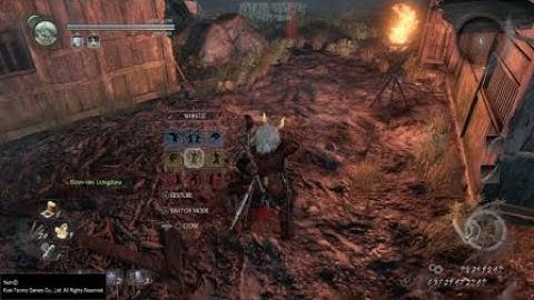 Nioh: Iai quickdraw backwave mastered (Level 1 white weapon vs WOTN)