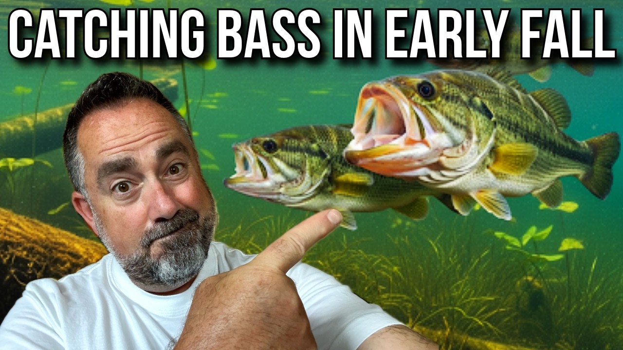 Where Bass Go In Fall (And How To Catch Them)