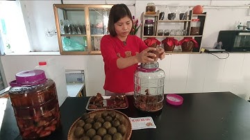 Cách Ngâm Rượu Mú Từn, Đơn Giản, Dễ Sử Dụng - Đặc Sản Tây Bắc