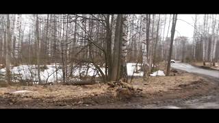 Продажа земельных участков и строительство домов в КП "Микрорайон Западный поселка Новый Игерман" Продажа земельных участков и строительство домов в КП "Микрорайон Западный поселка Новый Игерман"