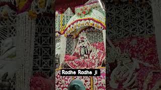 Chlo Re Shree Vrindavan Dham Gupta