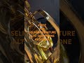 25 May 2026 #9037 #04 SELMER SIGNATURE ALTO SAXOPHONE#N.853439