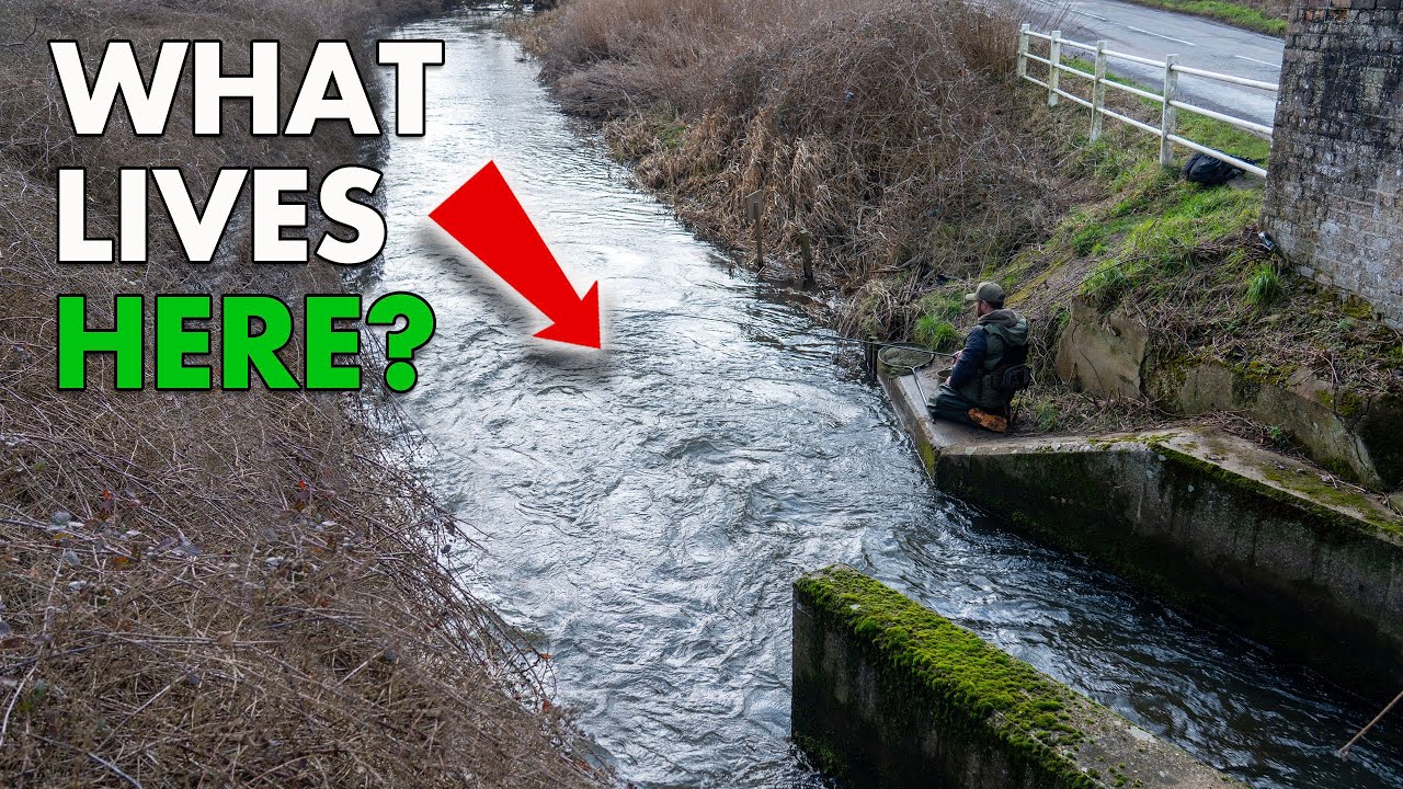 EVERYONE should TRY THIS! Small Stream & River Fishing Fun