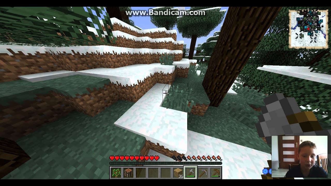 Pingwin Pack 5 Pingwin Pack 5