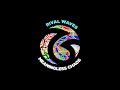 Rival Waves - Meaningless Chaos