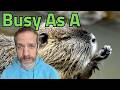Tax Season, Kidney Stones &amp; Snowstorms