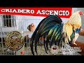 Visita al Criadero Ascencio