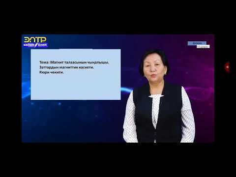 Video: Магниттик темирде домендер кантип уюштурулган?