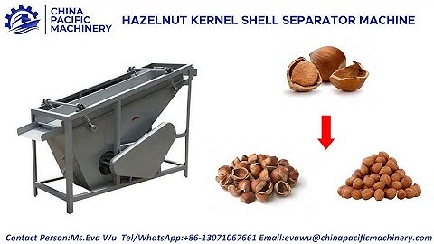 Hazelnut Kernel Shell Separator Machine|Hazelnut Cracking Shelling Machine Processing Line