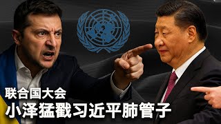9/25【美国热搜】习近平的腿出毛病?大飞机C919被川普拿捏|泽连斯基戳习近平肺管子|蓝战非遭“禁关注”|绍兴地铁惨剧|重庆老板重演 “公私合营”悲剧|说好的二胎三胎补贴呢?