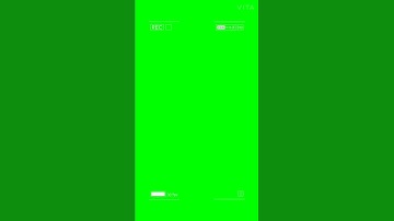Dslr camera record green screen.