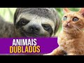 Animais Dublados Episódio 4