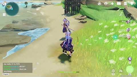 When Ayaka mains do their Parametric Transformer