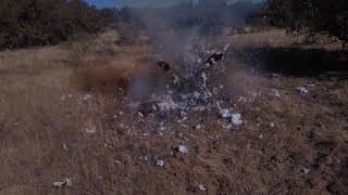 Teddy Bear + Tannerite = Boom!