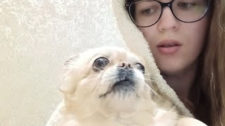 :    ?       