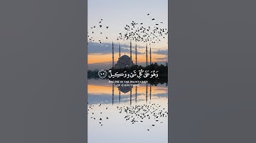 سورة الأنعام {الآية 102} بصوت الشيخ ياسر الدوسري ❤️❤️