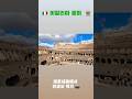 이탈리아 로마 🇮🇹 콜로세움에서 인생샷 건지는 법… ❓#travel #로마 #이탈리아