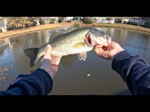 Winter pond BASS FISHING in my  NEIGHBORHOOD (ROD BROKE)