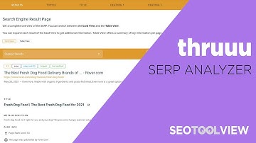 thruuu Serp Analyzer Overview