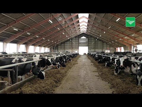 Goed boeren in Denemarken