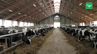 Goed boeren in Denemarken