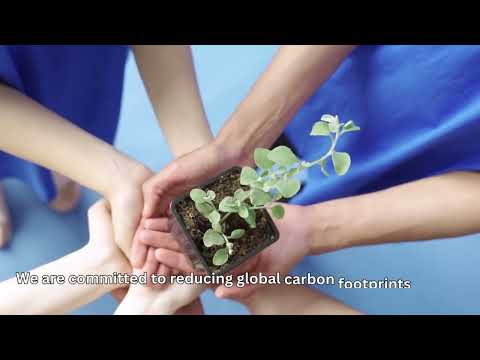 Why Choose Inframitra | Leading Solar Energy Company in India - video from Inframitra
