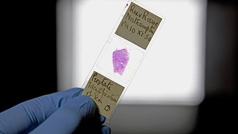 Forensic Science and Criminal Justice MOOC