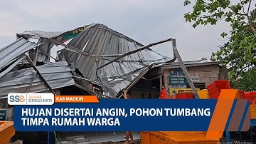 KAB MADIUN - Hujan Disertai Angin, Pohon Tumbang Timpa Rumah Warga