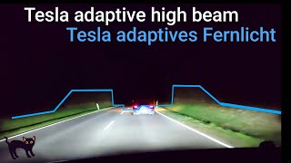 Tesla Model Y/3 Matrix Adaptive Headlights 2024 Адаптивный дальний свет