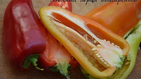 Перец болгарский.  Семена и их польза!