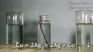 Exchange reaction of copper and silver ions in solution | Cu + 2Ag+ = 2Ag + Cu(2+)