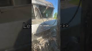 un des meilleurs trains #train #plm #railway #trainspotting #tram