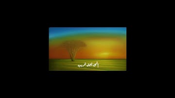 محمد صديق المنشاوي/ سورة المنافقون