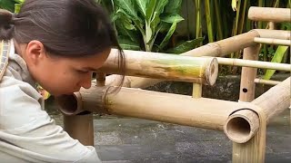 Amazing pieces of furniture made of wood & bamboo!