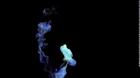 Bifrost Sim Test Playblast 1