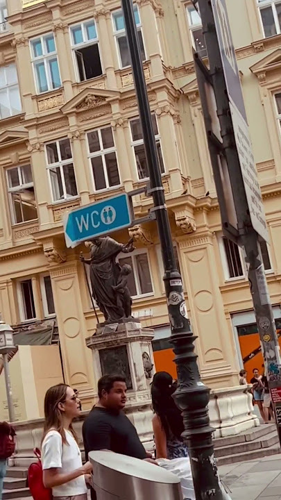 1. Habsburger gasse Vienna , must visit place when in Vienna Austria 🇦🇹 #tourism #shorts#todolist