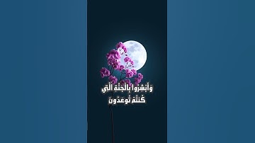 تلاوة ممتعة لسورة فصلت الآيات (30-32)