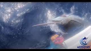 500 lb Big Blue Marlin Attacks our Lure | Waterman S01E08 | Visions of Granders