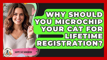 Why Should You Microchip Your Cat For Lifetime Registration? - Happy Cat Handbook