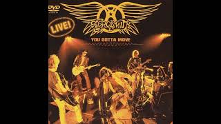Aerosmith - You Gotta Move CD 2004