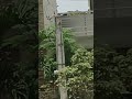 wowww