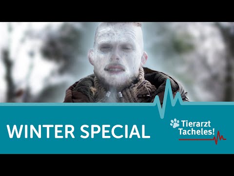 Der Winter mit Tieren | Tierarzt Tacheles mit Sebastian Goßmann-Jonigkeit | ZooRoyal