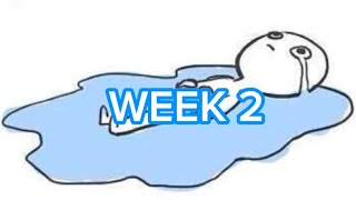 Week 2: not a good week :(