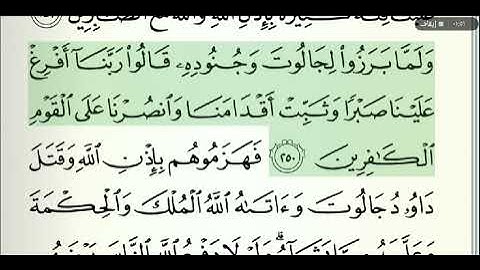 صفحة رقم 41 الشيخ وديع اليمني القرآن الكريم