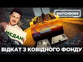 Як і в чиї кишені грабувався антиковідний фонд? Watchdogs.Info