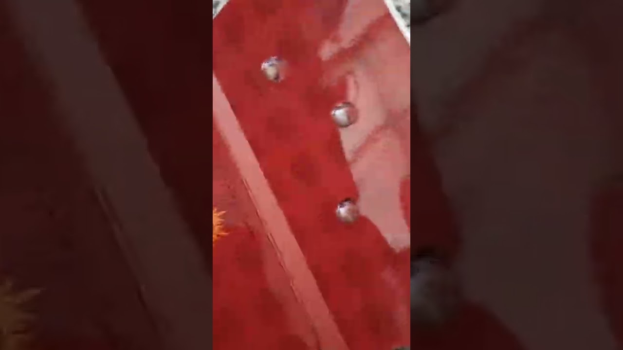 SHOUT OUT GREY BEARD SEEDS WITH THA HOOK UP AND THA DELIVERY! grow series coming soon!